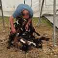 I Congresso Ovinocultura e Caprinocultura dos Açores ARCOA_4.jpg
